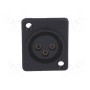 Гнездо xlr CLIFF ACF-PC (CP30015) (CP30015)
