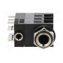 Гнездо jack 3, 5мм + jack 6, 35мм AMPHENOL ACJS-MHD985 (ACJS-MHD985)
