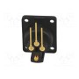 Гнездо xlr CLIFF CP30082 (CP30082)