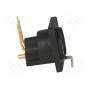 Гнездо xlr CLIFF CP30082 (CP30082)