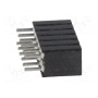 Гнездо штыревой CONNFLY DS1002-03-2*6131 (ZL307-2X6)