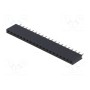 Гнездо штыревой CONNFLY DS1023-1*20S21 (ZL262-20SG)