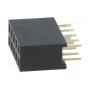 Гнездо штыревой CONNFLY DS1023-2*5S21 (ZL262-10DG)