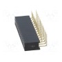 Гнездо штыревой CONNFLY DS1024-2*13R0 (ZL263-26DG)