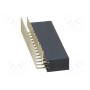 Гнездо штыревой CONNFLY DS1024-2*13R0 (ZL263-26DG)