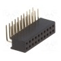 Гнездо штыревой CONNFLY DS1065-14-2*10S8BR (DS1065-14-2X10S8BR)