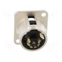 Гнездо xlr NEUTRIK NC7MD-L-1 (NTR-NC7MDL1)