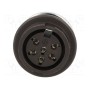 Гнездо din AMPHENOL T 3427 000 (C091-3427-000)