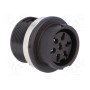 Гнездо din AMPHENOL T 3437 000 (C091-3437-000)