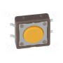 Тактовая кнопка spst-no DIPTRONICS DTSM-21S-V-B (DTSM-21S-V-B)