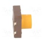 Тактовая кнопка spst-no DIPTRONICS DTSM-25S-V-B (DTSM-25S-V-B)