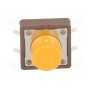 Тактовая кнопка spst-no DIPTRONICS DTSM-25S-V-B (DTSM-25S-V-B)