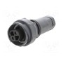 Разъем круглый вилка BULGIN PXP701102SST1113 (PXP7011/02S/ST1113)