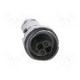 Разъем круглый вилка BULGIN PXP701102SST1113 (PXP7011/02S/ST1113)