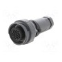 Разъем круглый вилка BULGIN PXP701132SCR0911 (PXP7011/32S/CR0911)