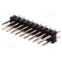Штыревая планка штыревой CONNFLY DS1021-2*10SF11 (ZL202-20G)