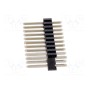 Штыревая планка штыревой CONNFLY DS1021-2*10SF11 (ZL202-20G)