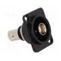 Соединитель гнездо bnc, с обеих сторон CLIFF CP30125 (CP30125)