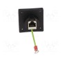 Соединитель buccaneer ethernet BULGIN PX0890E (PX0890/E)