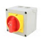 Кулачковый переключатель 2-позиционный LOVATO ELECTRIC GX1610P25 (GX1610P25)