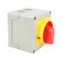 Кулачковый переключатель 2-позиционный LOVATO ELECTRIC GX1610P25 (GX1610P25)