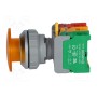 Переключатель кнопочный 1-позиционный AUSPICIOUS EBL30-1OC Y, WO LAMP (LXE30-1-O/C-Y)