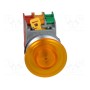 Переключатель кнопочный 1-позиционный AUSPICIOUS EBL30-1OC Y, WO LAMP (LXE30-1-O/C-Y)