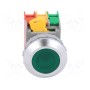 Переключатель кнопочный 1-позиционный AUSPICIOUS LXB30-1OC G, WO LAMP (LXB30-1-O/C-G)