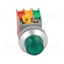 Переключатель кнопочный 1-позиционный AUSPICIOUS LXL30-1OC G, WO LAMP (LBL30-1-O/C-G)