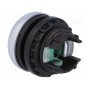 Переключатель кнопочный 1-позиционный EATON ELECTRIC M22-DL-G-X1 (M22-DL-G-X1)