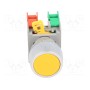 Переключатель кнопочный 1-позиционный AUSPICIOUS PBF22-1OC Y (PBF22-1-O/C-Y)