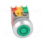 Переключатель кнопочный 2-позиционный AUSPICIOUS PFL30-1OC G, WO LAMP (PFL30-1-O/C-G)