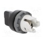 Переключатель поворотный 2-позиционный ABB 1SFA611201R1006 (M2SS2-10B)