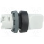 Переключатель поворотный 2-позиционный ABB 1SFA611201R1007 (M2SS2-10U)