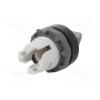 Переключатель поворотный 2-позиционный ABB 1SFA611203R1006 (M2SS4-10B)