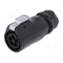Вилка разъем круглый LUMBERG 0252 05 (0252-05)