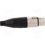 Вилка xlr AMPHENOL AC4F (AC4F)