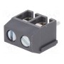 Зажимная рейка для печатных плат угловой 90° DEGSON ELECTRONICS DG301-5.0-02P-11-00A(H) (DG301-5.0-2P11)
