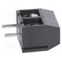 Зажимная рейка для печатных плат угловой 90° DEGSON ELECTRONICS DG301-5.0-02P-11-00A(H) (DG301-5.0-2P11)