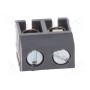 Зажимная рейка для печатных плат угловой 90° DEGSON ELECTRONICS DG301-5.0-02P-11-00A(H) (DG301-5.0-2P11)