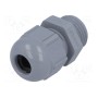 Кабельный ввод PG9 LAPP KABEL 53015010 (SKINTOP-PG9G)
