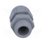 Кабельный ввод PG9 LAPP KABEL 53015010 (SKINTOP-PG9G)