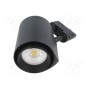 Лампа светильник LED LEDDEX LTR-020-24-B (LTR-020-24-B)