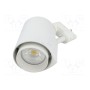 Лампа светильник LED LEDDEX LTR-020-24-W (LTR-020-24-W)