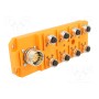 Разветвительная коробка M12 PIN 5 LUMBERG AUTOMATION ASBSV 8LED 5 (ASBSV8-LED5)