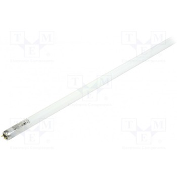 Лампочка LED холодный белый G13 OSRAM 4058075024373