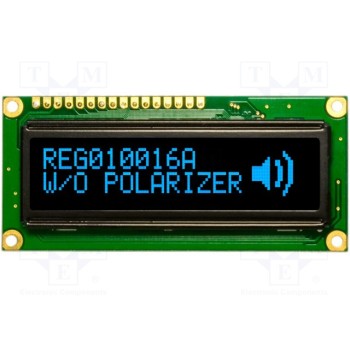 Дисплей OLED RAYSTAR OPTRONICS REG010016ABPP5N0