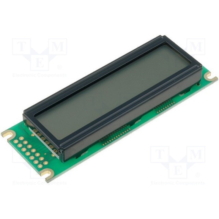 Дисплей LCD RAYSTAR OPTRONICS RC1602D-FHY-ESX (RC1602D-FHY-ESX)