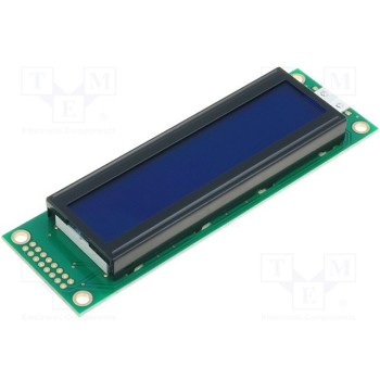Дисплей LCD RAYSTAR OPTRONICS RC2002A-BIG-ESV