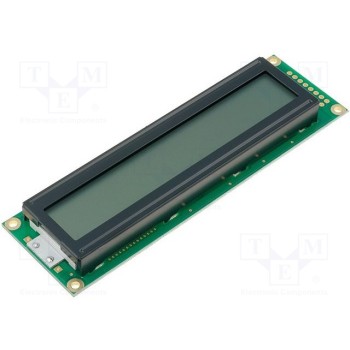Дисплей LCD RAYSTAR OPTRONICS RC2402A-FHY-CSV